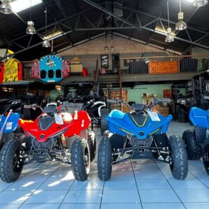 CF MOTO C FORCE 110