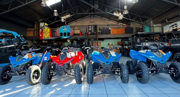CF MOTO C FORCE 110